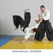 aikido aikido