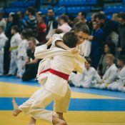 judo-4454836_1280 judo-4454836_1280