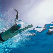 pexels-kindelmedia-8688559 pexels-kindelmedia-8688559