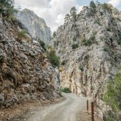 pexels-pavel-danilyuk-9065617 pexels-pavel-danilyuk-9065617